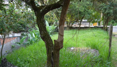 Terreno à venda em Brooklin Velho, São Paulo, SP