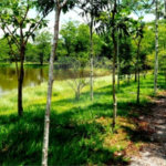 Casa à venda com 4 suítes no condomínio Residencial Fazenda São José, Salto de Pirapora - SP