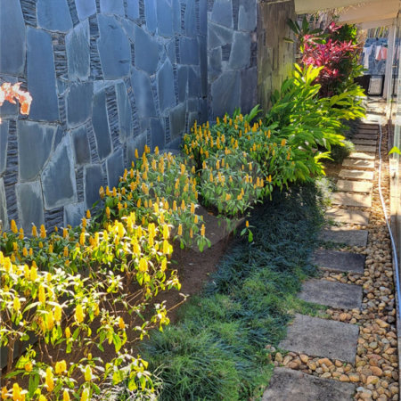 Casa à venda com 4 suítes em Vila Oliveira, Mogi das Cruzes, SP