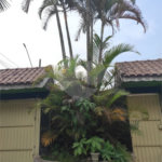 Casa à venda com 3 suítes em Matriz, Mauá, SP