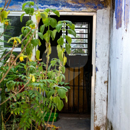 Terreno à venda com 3 quartos no condomínio Terreno com Casa, São Paulo - SP