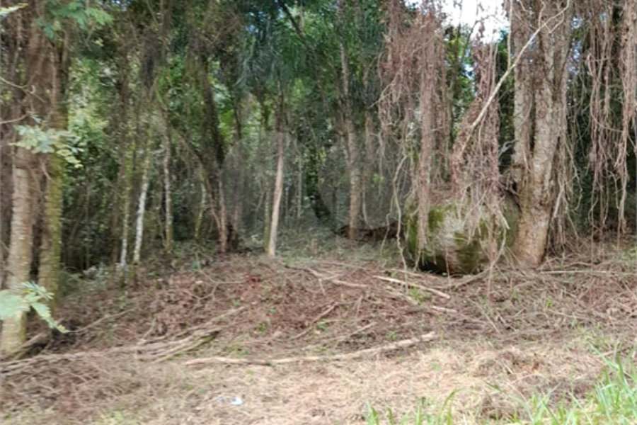 Loteamento à venda em Serra da Cantareira, São Paulo, SP