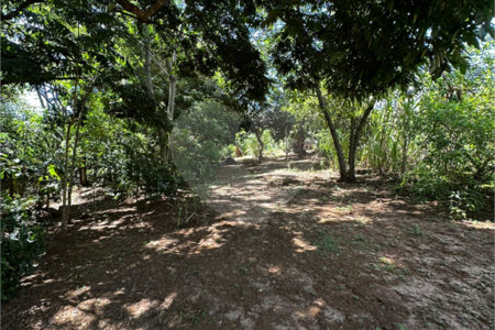 Terreno à venda em Residencial Emilio de Andrade, Ponta Porã, MS