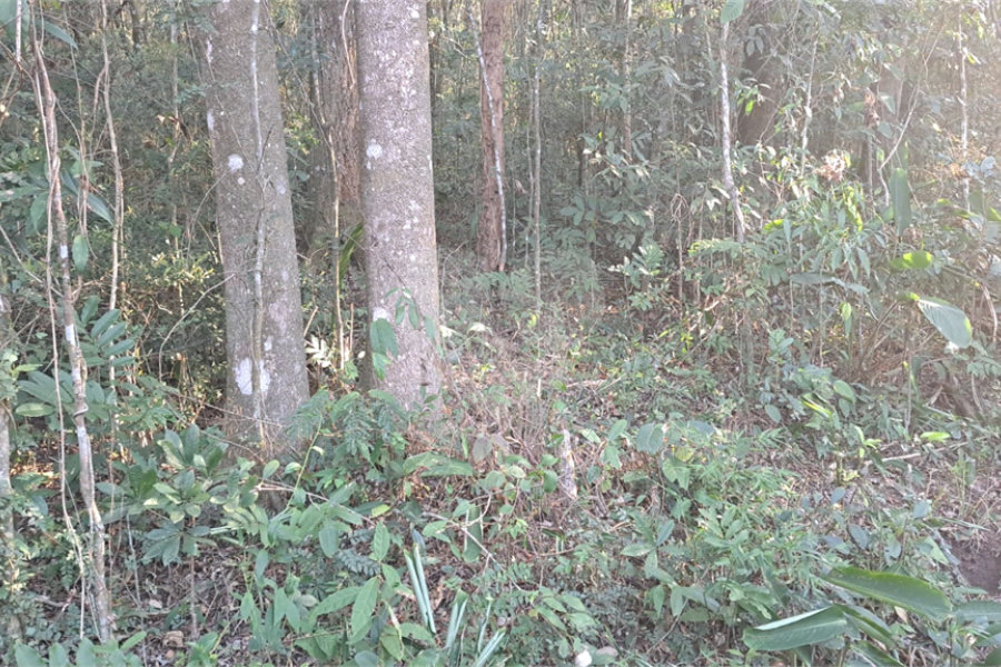 Terreno à venda em Serra da Cantareira, Mairiporã, SP