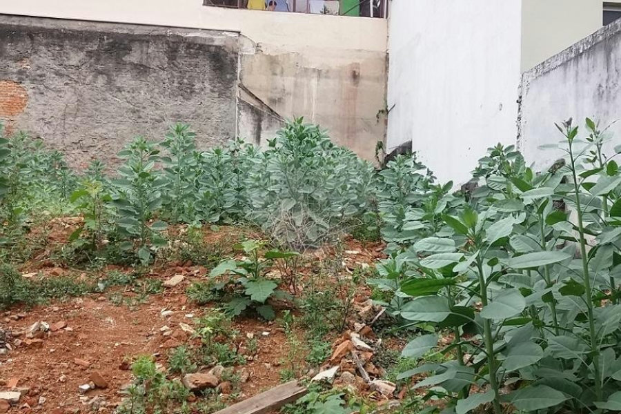 Terreno à venda em Limão, São Paulo, SP