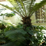 Casa à venda com 3 quartos, sendo 1 suíte,  em Vila São Luís(zona Oeste), São Paulo, SP