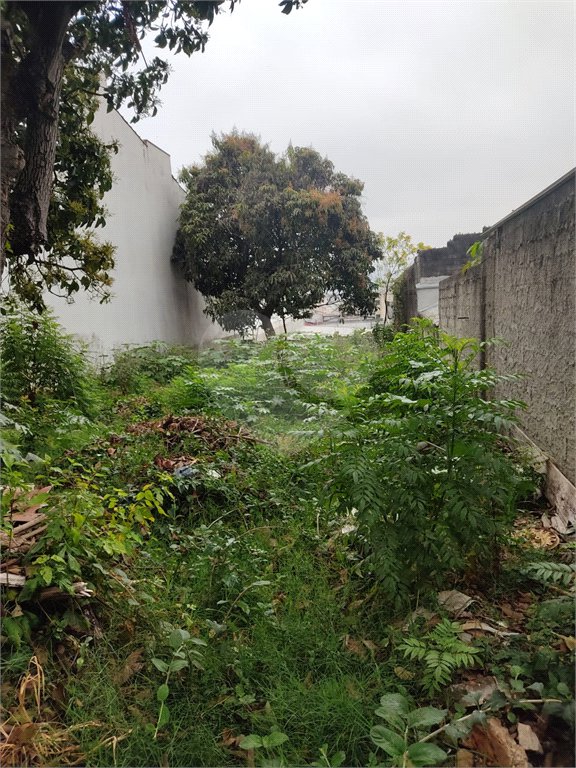 Terreno à venda em Vila Constança, São Paulo, SP