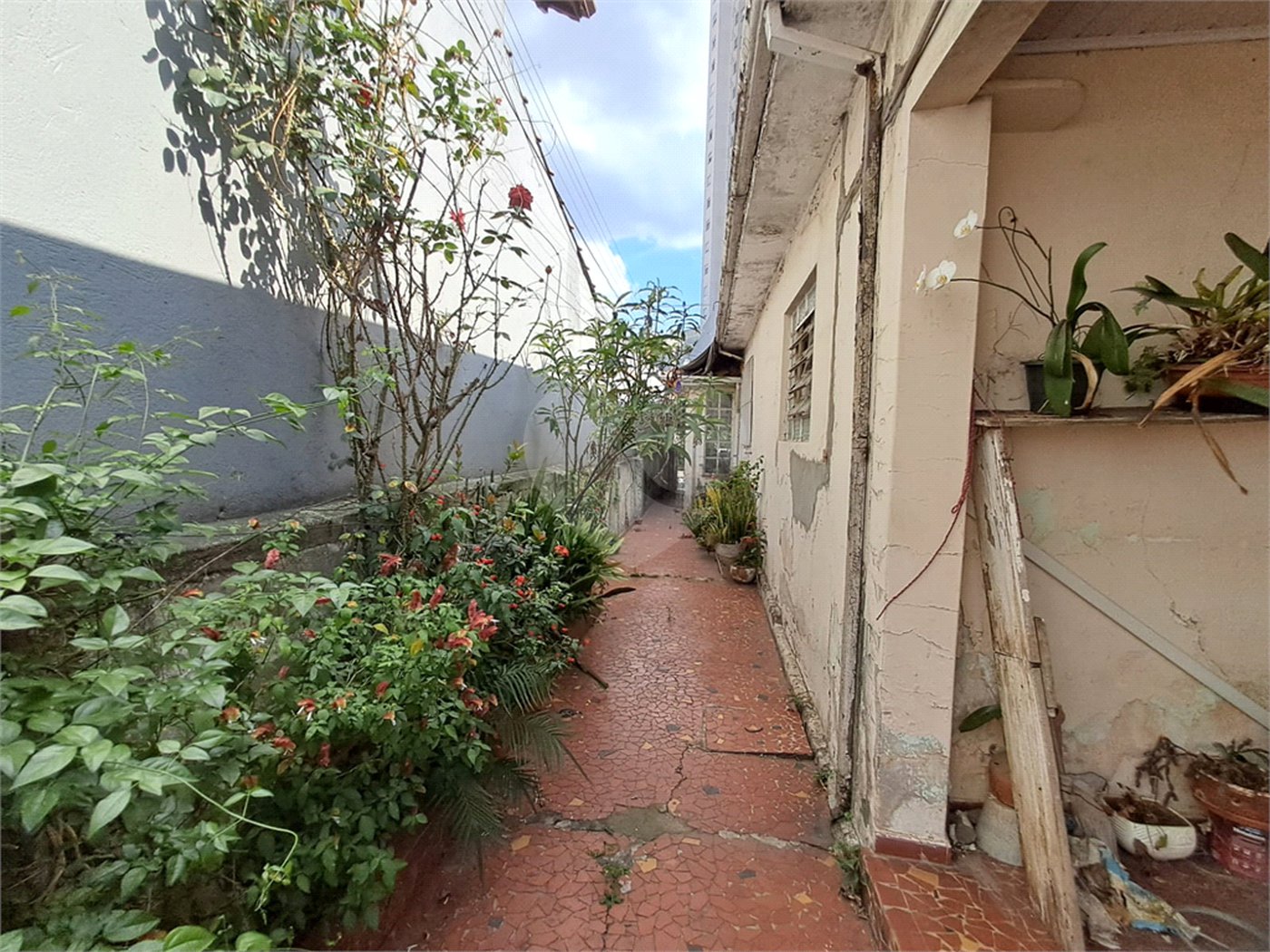 Casa à venda com 3 quartos em Vila Gustavo, São Paulo, SP