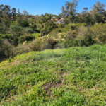 Terreno à venda em Bosque, Vinhedo, SP