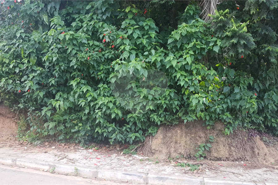 Terreno à venda em Serra da Cantareira, Mairiporã, SP