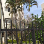 Apartamento à venda com 2 quartos em Mandaqui, São Paulo, SP