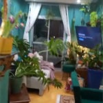 Apartamento à venda com 3 quartos, sendo 1 suíte, em Vila Medeiros, São Paulo, SP
