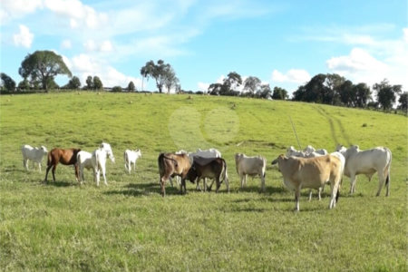 Área de Terra à venda em Área Rural de Monte Mor, Monte Mor, SP