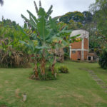Terreno à venda em Jardim Bela Vista, Guarulhos, SP