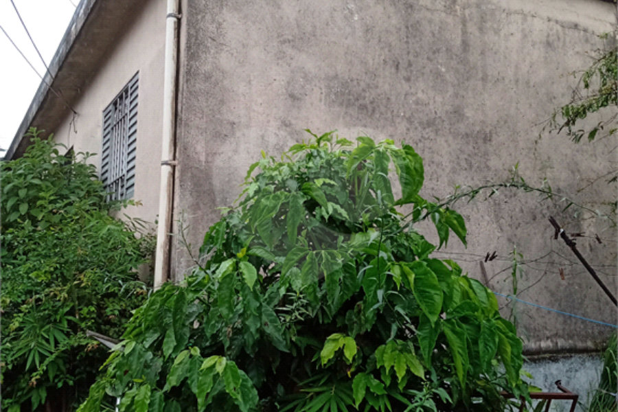 Casa Térrea à venda com 2 suítes em Vila Nova Cachoeirinha, São Paulo, SP
