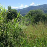 Terreno à venda em Luiz Fagundes, Mairiporã, SP