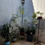 Casa à venda com 3 quartos, sendo 1 suíte, em Vila Rosalia, Guarulhos, SP