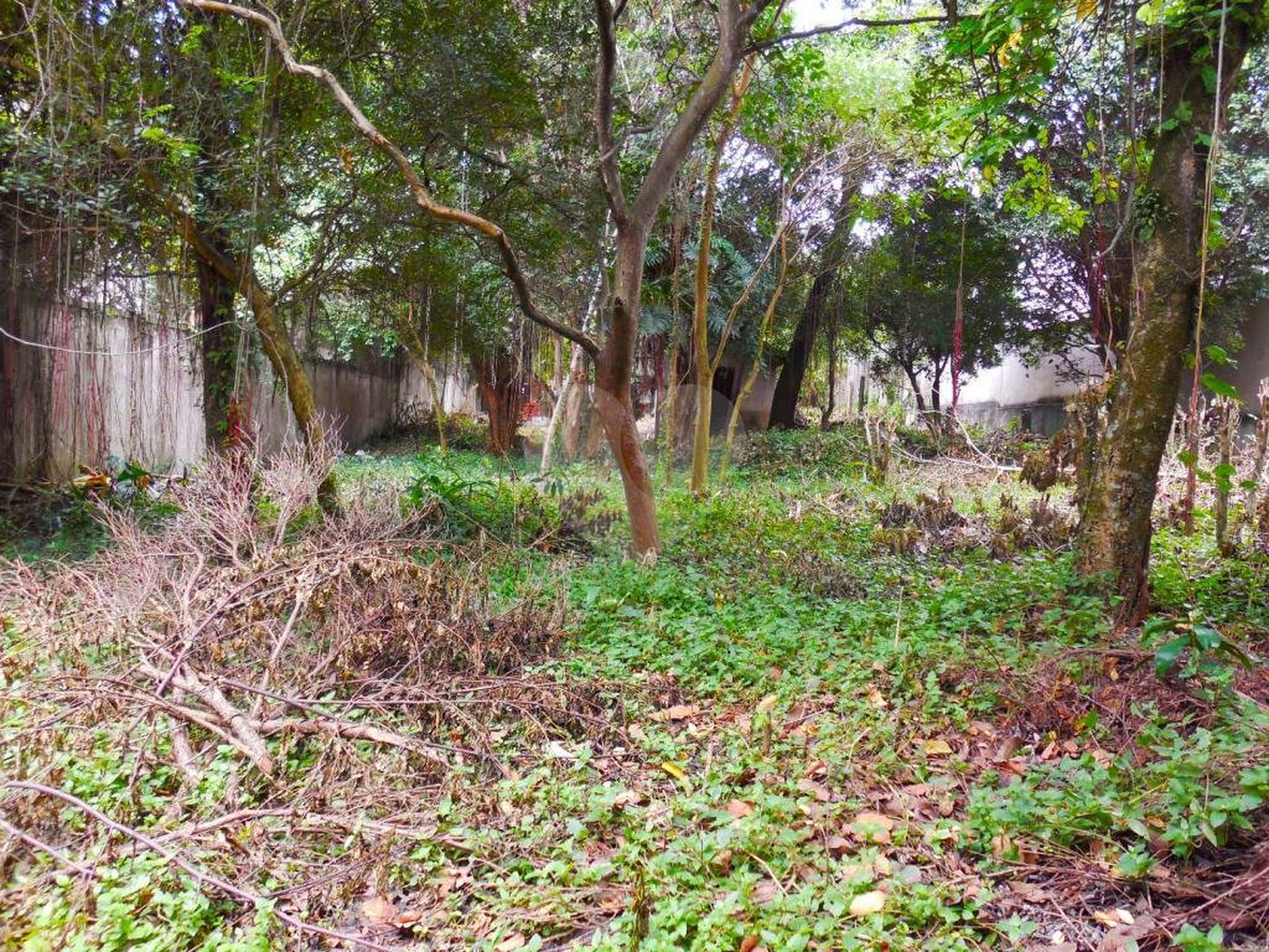 Terreno à venda em Alto da Boa Vista, São Paulo, SP