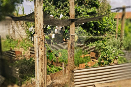 Chácara à venda com 8 quartos, sendo 5 suítes, em Chácara Belvedere, Indaiatuba, SP