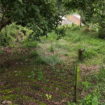Terreno à venda em Vila Moraes, Mogi das Cruzes, SP