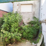Terreno à venda em Vila Guilherme, São Paulo, SP