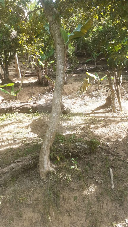 Terreno à venda em Aguazul, Guarulhos, SP