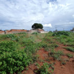 Terreno para alugar em Vila Camarão, Itapetininga, SP