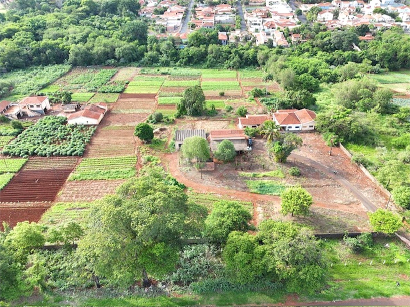 Terreno à venda em Jardim Itaú, Ribeirão Preto, SP