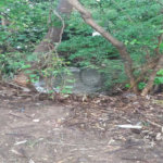 Área de Terra à venda em Parque Residencial Indaiá, Indaiatuba, SP