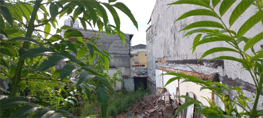 Terreno à venda em Vila Maria, São Paulo, SP