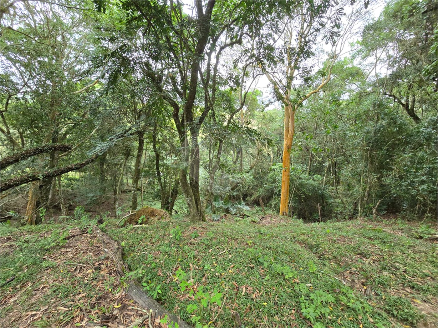 Sítio à venda com 6 quartos, sendo 5 suítes, em Área Rural de Itapetininga, Itapetininga, SP