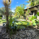 Casa à venda com 4 quartos, sendo 2 suítes, no Centro, Santa Cruz Cabrália, BA