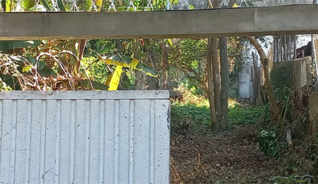 Terreno à venda em Vila Tramontano, São Paulo, SP