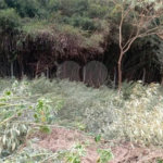 Terreno a venda no Vivendas do Engenho D`Água