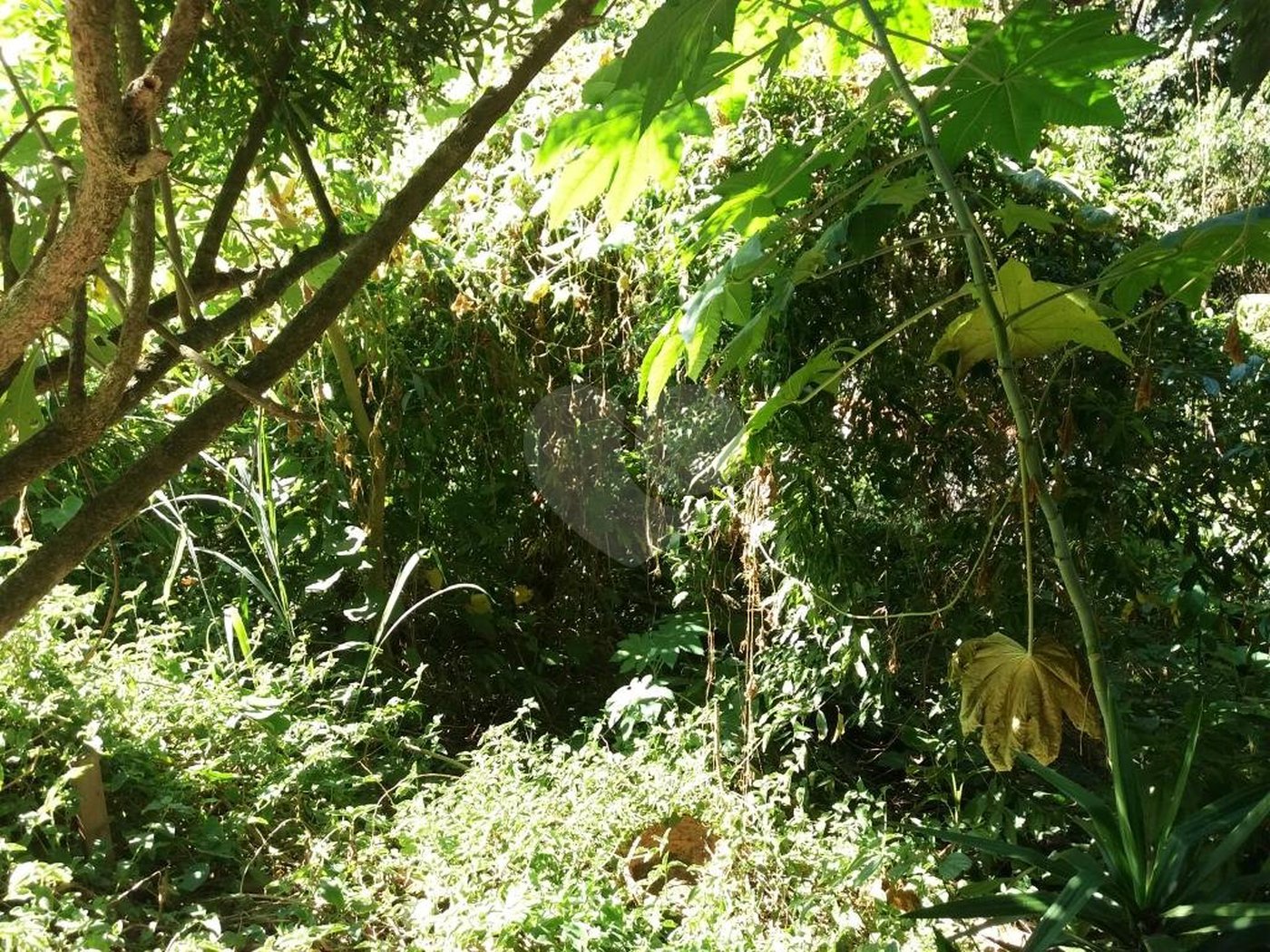 Terreno à venda em Tremembé, São Paulo, SP