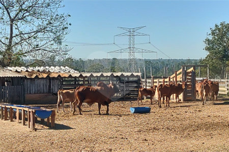 Sítio à venda com 2 suítes em Buru, Salto, SP