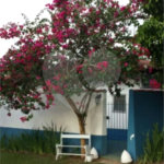 Sítio à venda com 6 quartos, sendo 5 suítes, em Dos Mimis, Piracaia, SP