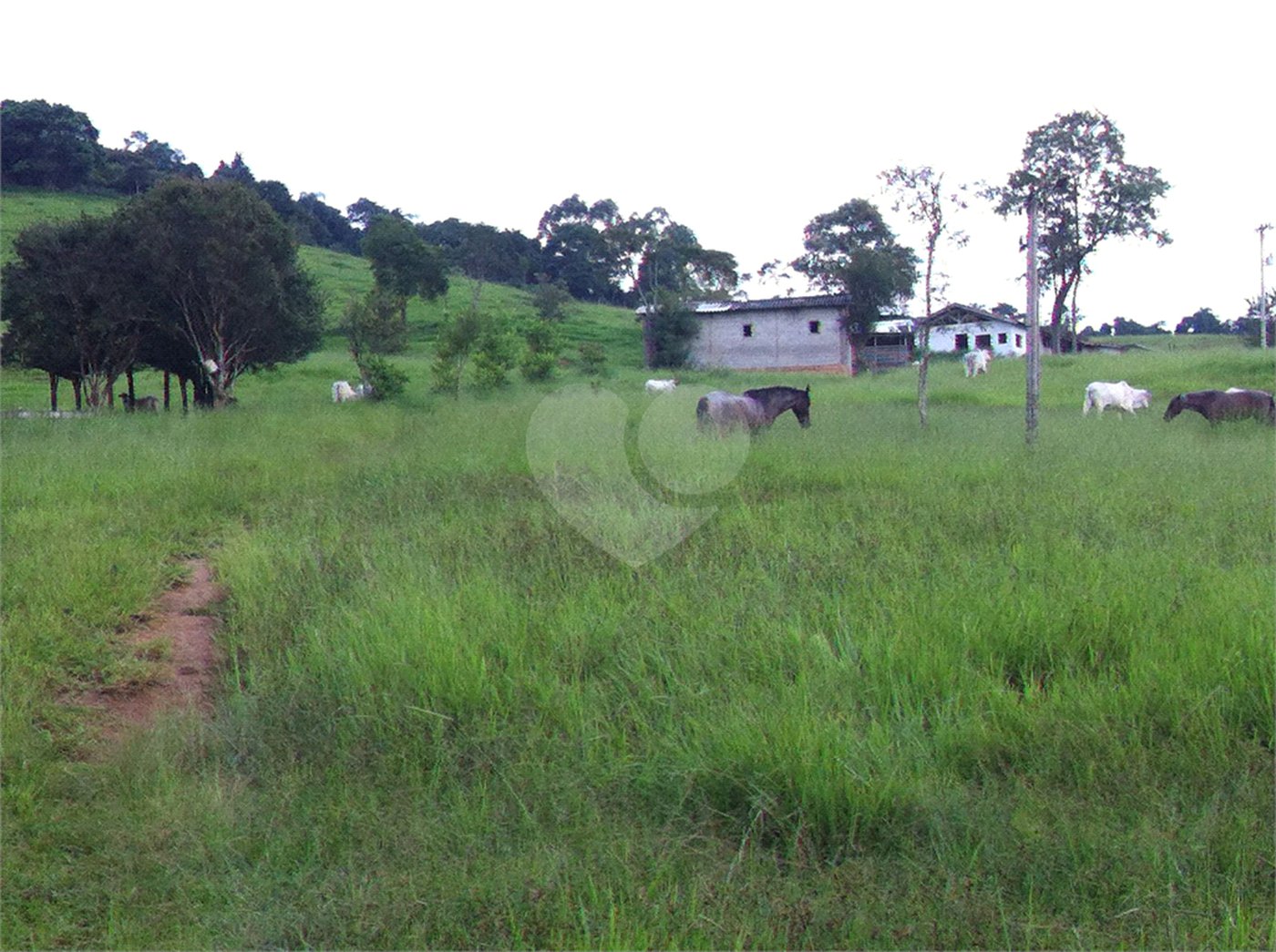 Fazenda à venda com 3 quartos em Cachoeirinha, Bom Jesus dos Perdões, SP