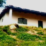 Fazenda à venda com 2 quartos em City Castello, Itu, SP