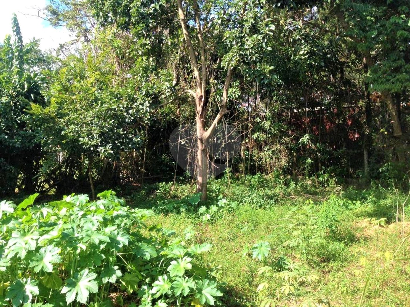 Casa à venda com 4 quartos em Capela, Vinhedo, SP