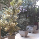 Apartamento para alugar com 1 quarto em Consolação, São Paulo, SP