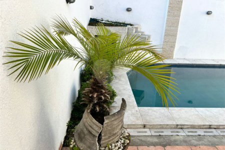 Casa à venda com 4 quartos, sendo 3 suítes, em Chácara Monte Alegre, São Paulo, SP