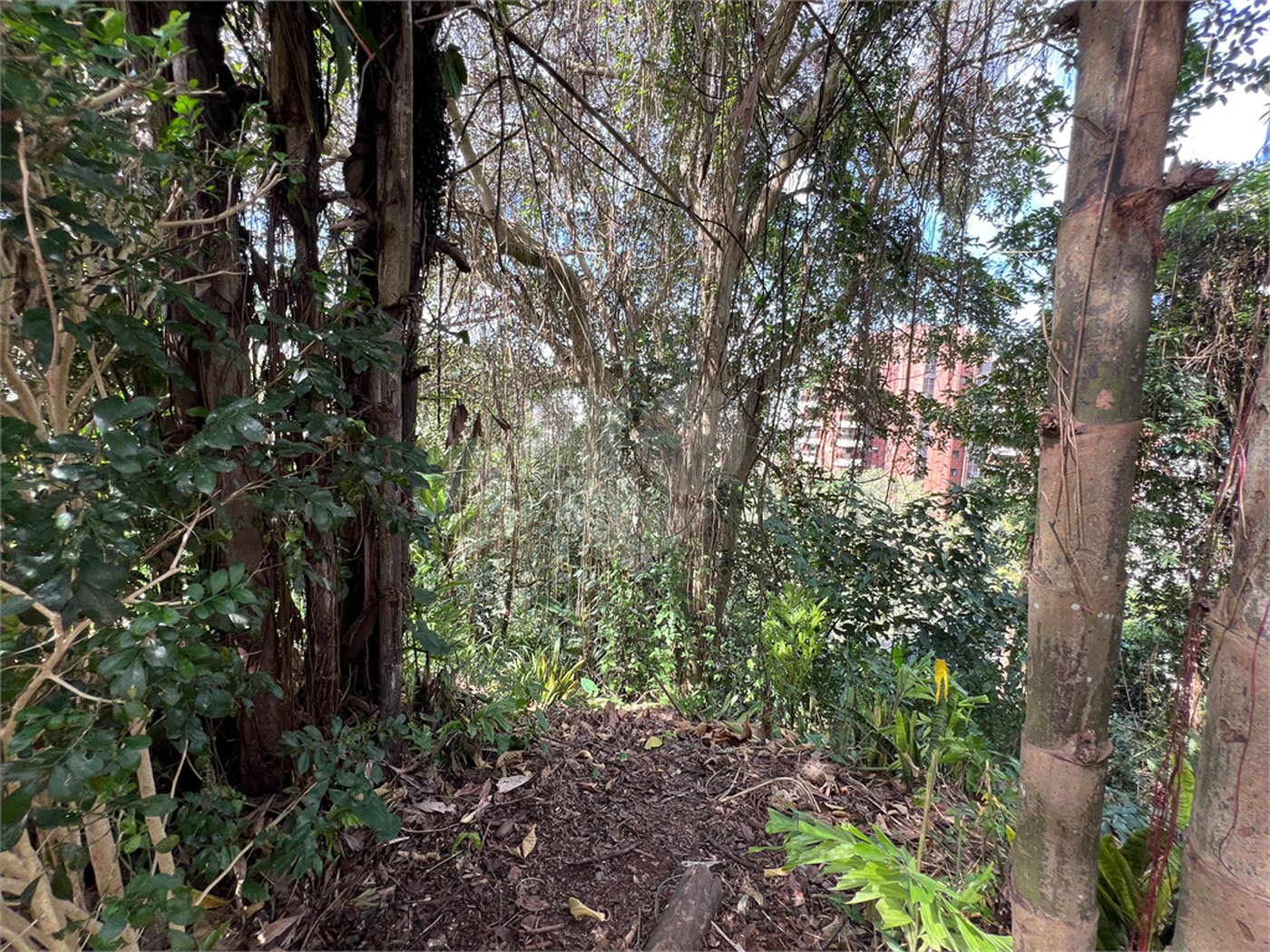 Terreno à venda em Paraisópolis, São Paulo, SP