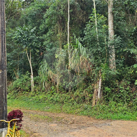 Terreno à venda em Pavão (canguera), São Roque, SP