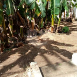 Terreno à venda em Freguesia do Ó, São Paulo, SP