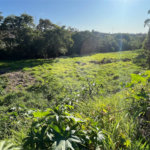 Terreno à venda em Vila Santista, Atibaia, SP