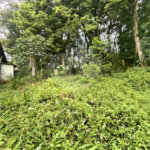 Sobrado à venda ou para alugar com 4 suítes em Serra da Cantareira, Mairiporã, SP
