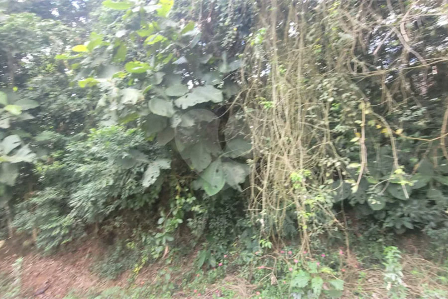 Terreno à venda em Mantiqueira, Mairiporã, SP