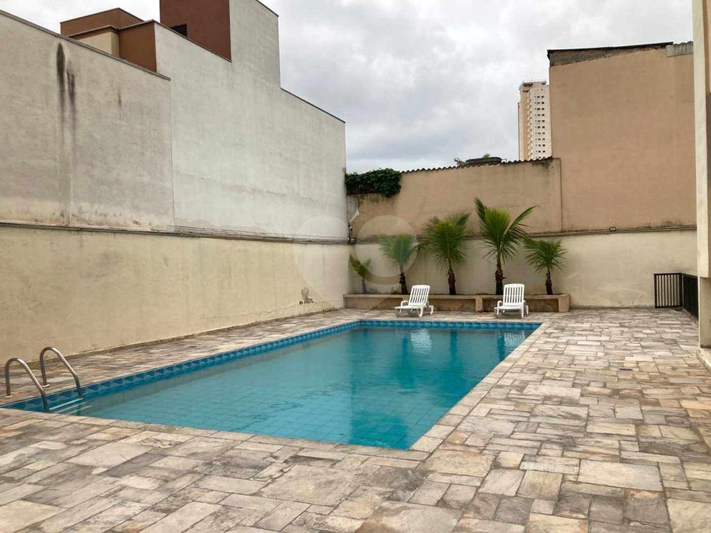 Apartamento à venda com 3 quartos, sendo 1 suíte, em Mandaqui, São Paulo, SP