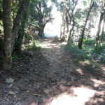 Terreno à venda em Tucuruvi, São Paulo, SP